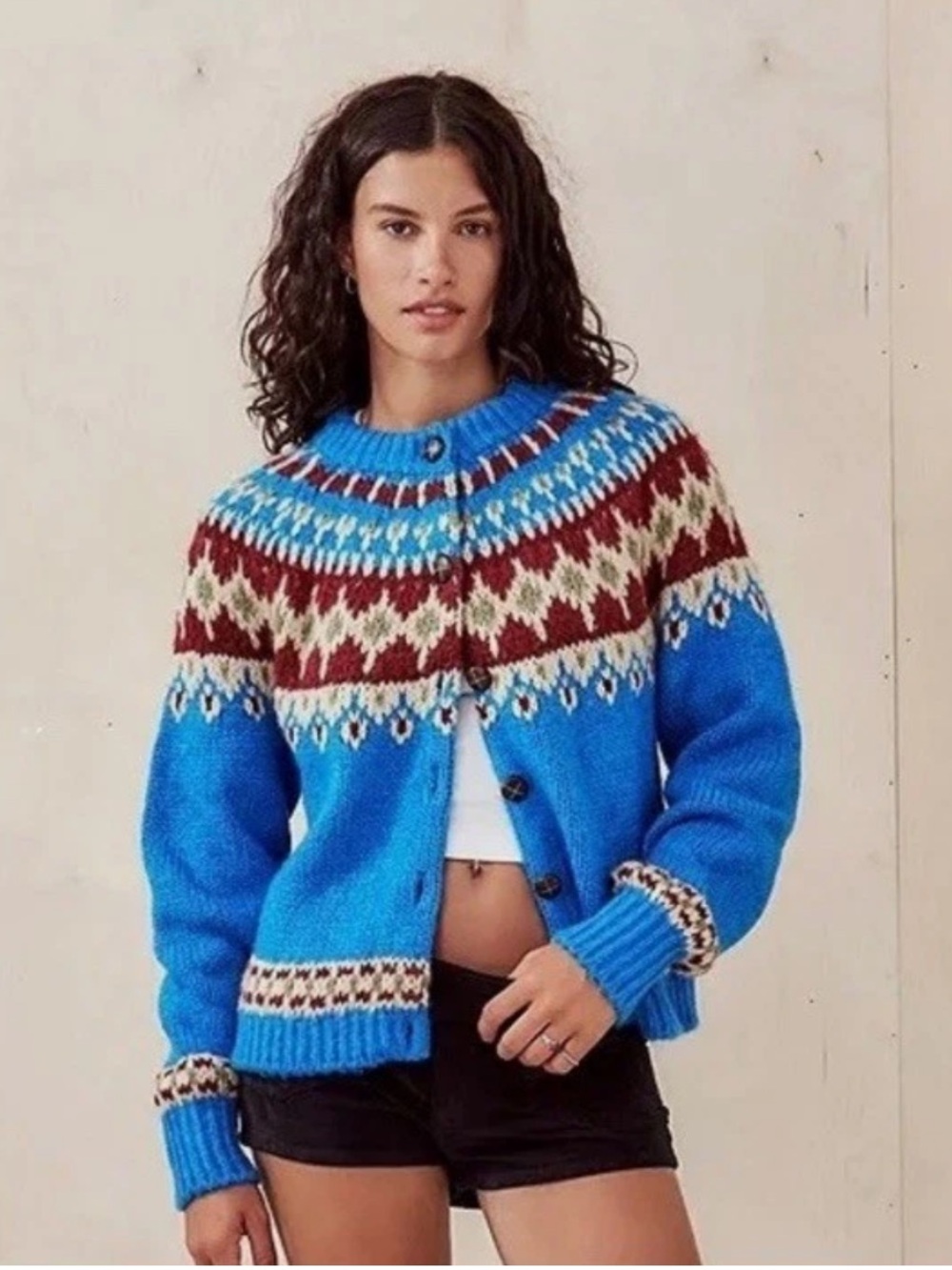 BDG Urban Outfitters Blue Burgundy Folk Fair Isle Button Down Sweater S